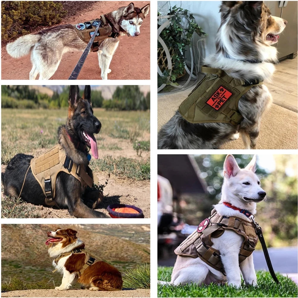 2-Piece Big Dog Harness & Lead Set – Heavy Duty Tactical No Pull