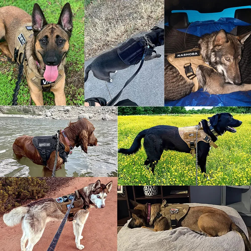 2-Piece Big Dog Harness & Lead Set – Heavy Duty Tactical No Pull