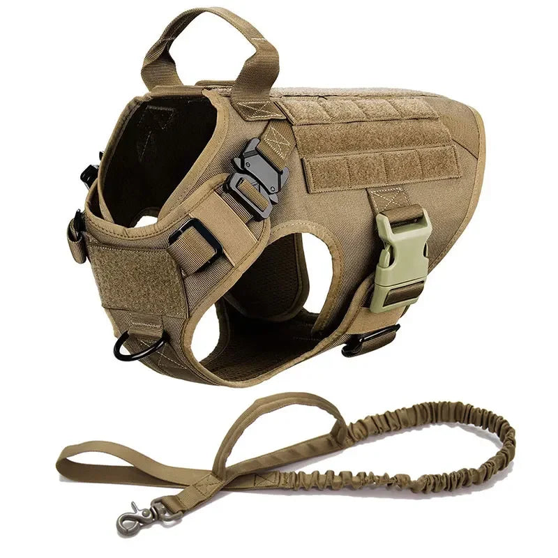 2-Piece Big Dog Harness & Lead Set – Heavy Duty Tactical No Pull