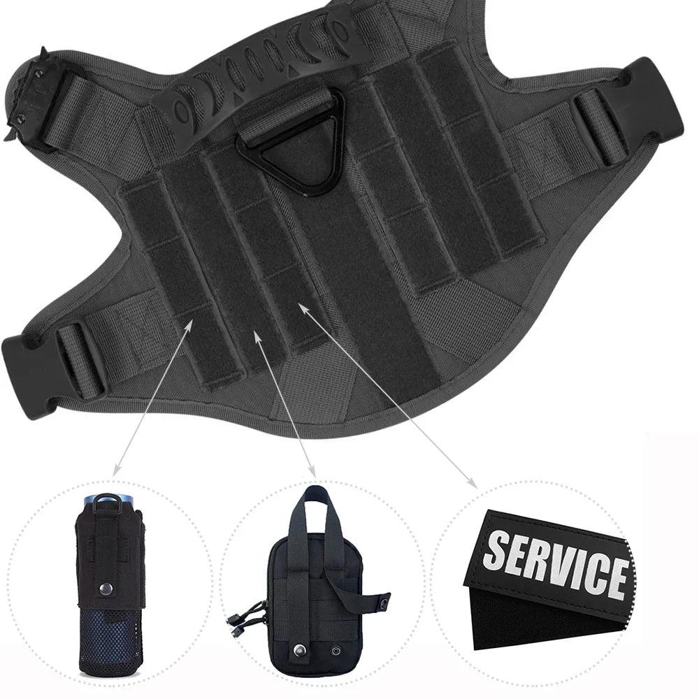 A Secure Fit for Big Dogs on the Move.